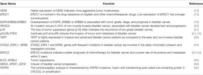 Frontiers in Bladder Cancer Genomic Research